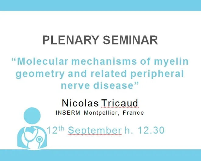 Plenary Seminar: “Molecular mechanisms of myelin geometry and related peripheral nerve disease”