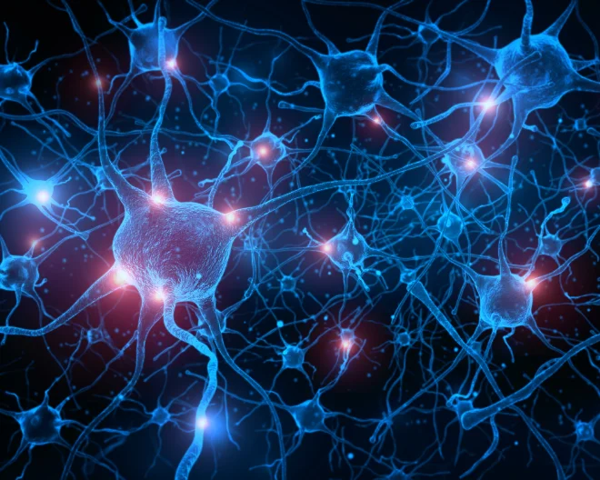 Interleuchina 2 in pazienti con depressione migliora la risposta alle cure