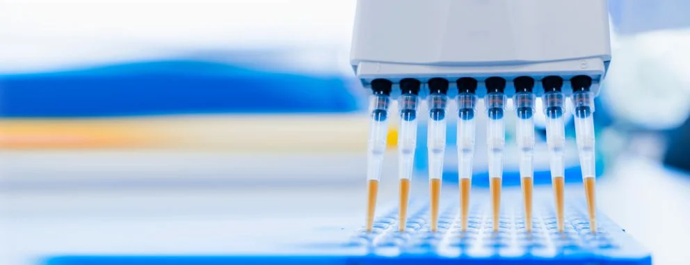 Anna Mondino è la nuova direttrice scientifica di Fondazione AIRC per la ricerca sul cancro