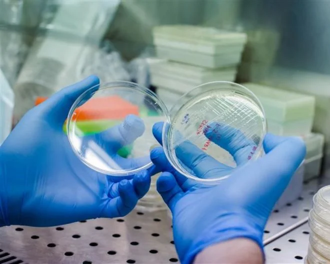 Three UniSR projects among the winners of the Multi-round Telethon call for rare genetic diseases
