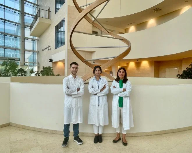 Researchers Franco, Ferrari and Omer awarded three ERC Starting Grants