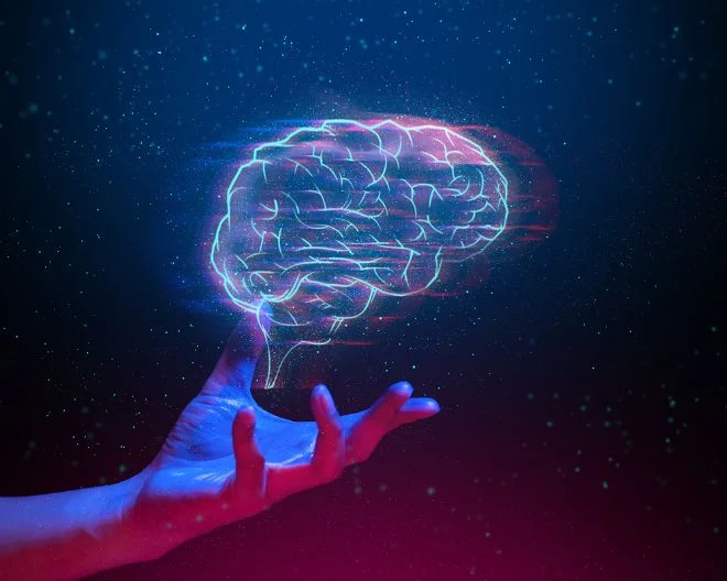 SINe-INS Conference: New Ways of Investigating the Brain –Postponed - May 2021